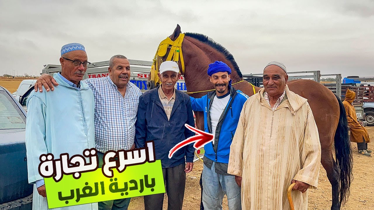 🚨سوق الخميسات مع اجواء شتوية الله الله العربي طويبة باع جدع لبارية من مولاي بوسلهام عشاق المليح ✅