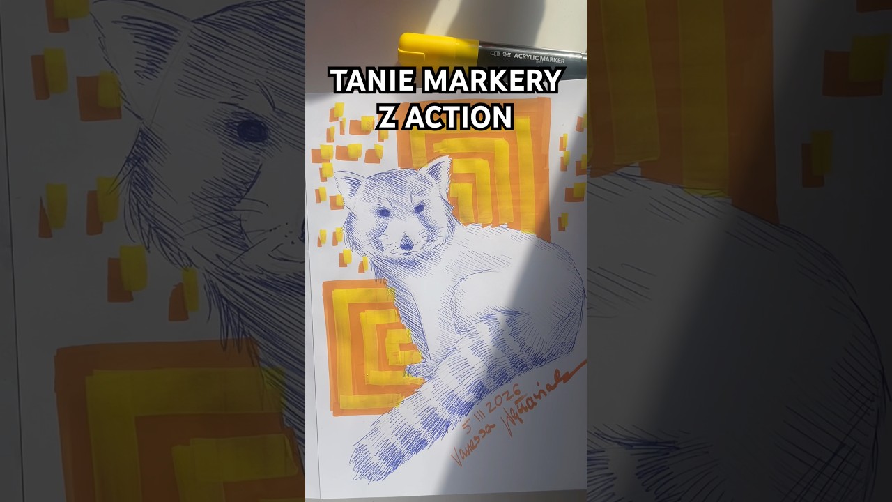 Tanie markery z Action 💸