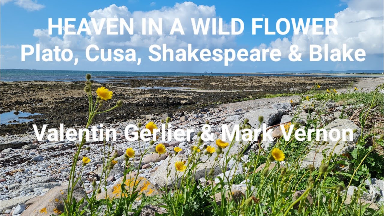 Heaven in a Wild Flower. Plato, Cusa, Shakespeare & Blake. Valentin Gerlier & Mark Vernon