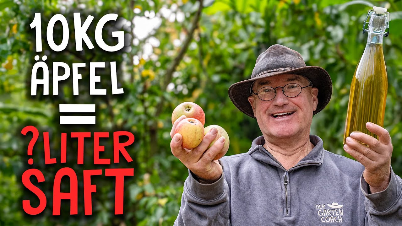 Apfelsaft selber machen 🍎 - So viel Saft kommt wirklich raus!