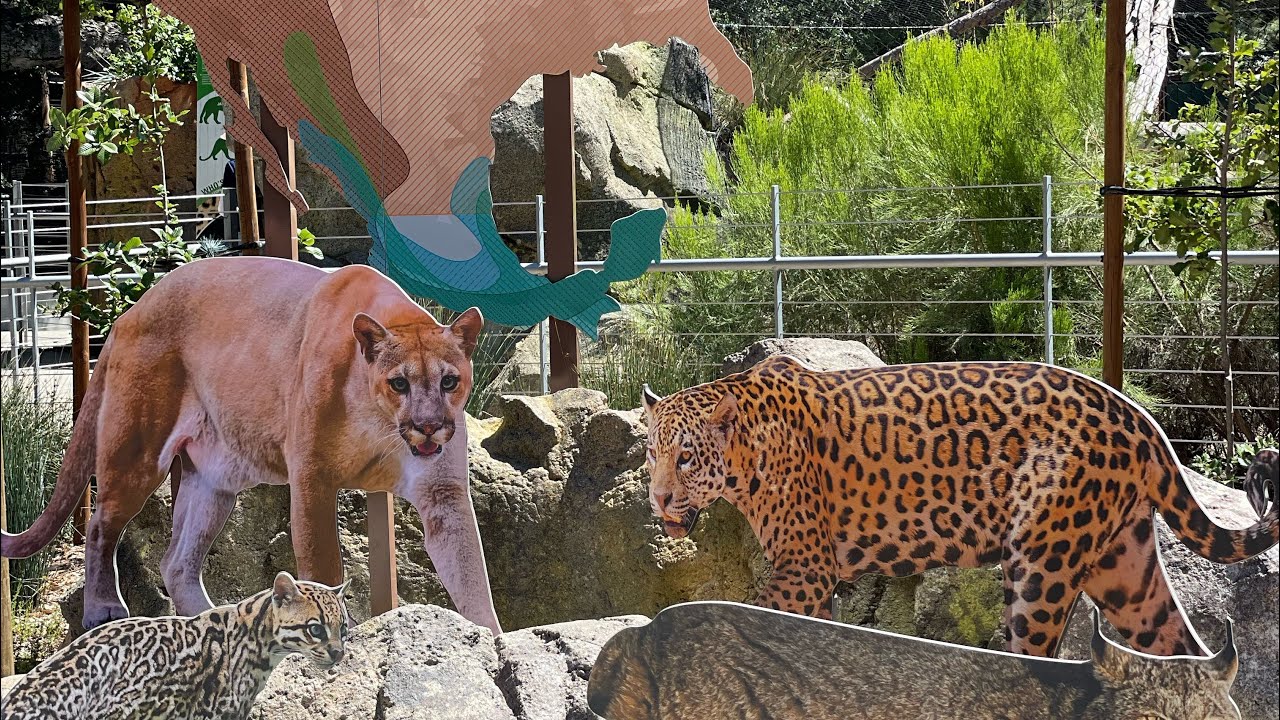 Explore Irvine regional Park and OC Zoo