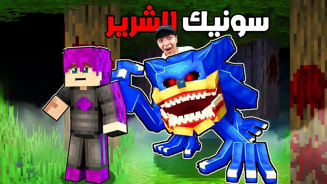 مقلب انا سونيك الملعون في امكامل !..🤣