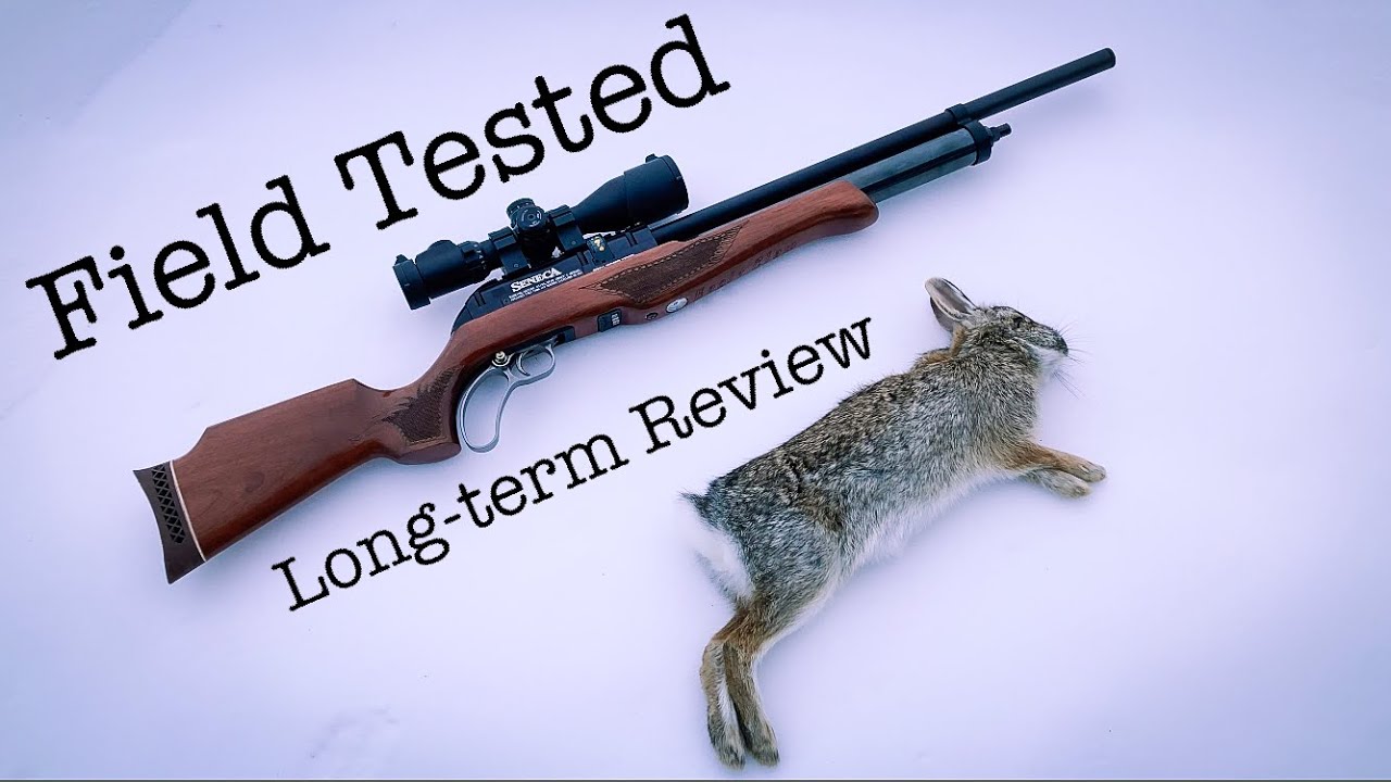 Airgun Review: My Experience with a Refurbished Seneca Eagle Claw Carbine