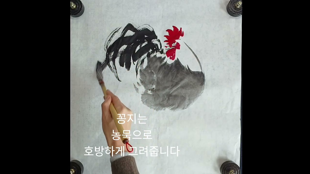 느린영상 닭그리기 다섯번째 #수탉과들꽃