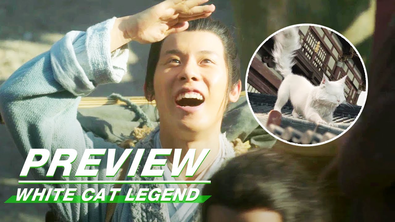 EP1 Preview | White Cat Legend | 大理寺少卿游 | iQIYI