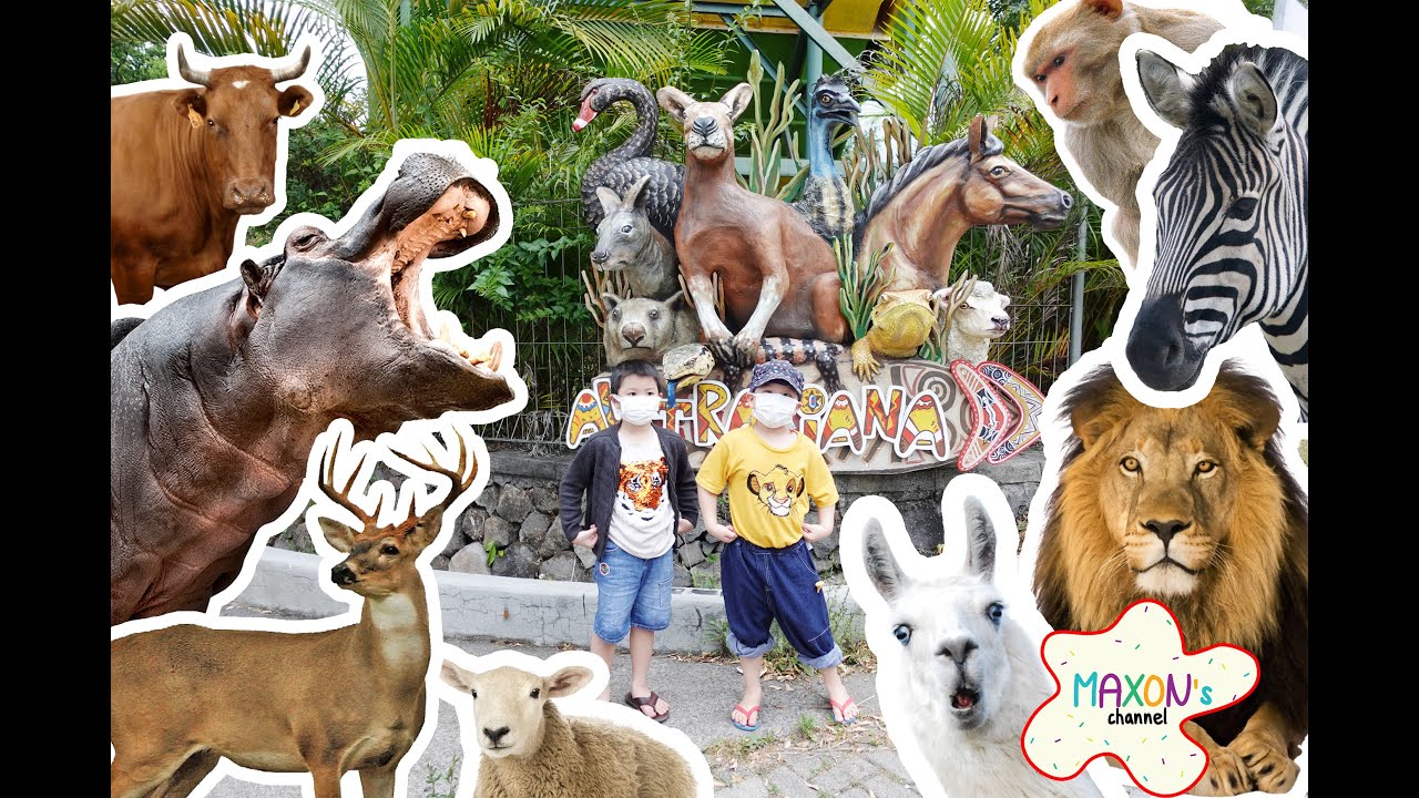 KIDS trip to Safari with lots of animals | Taman Safari Prigen