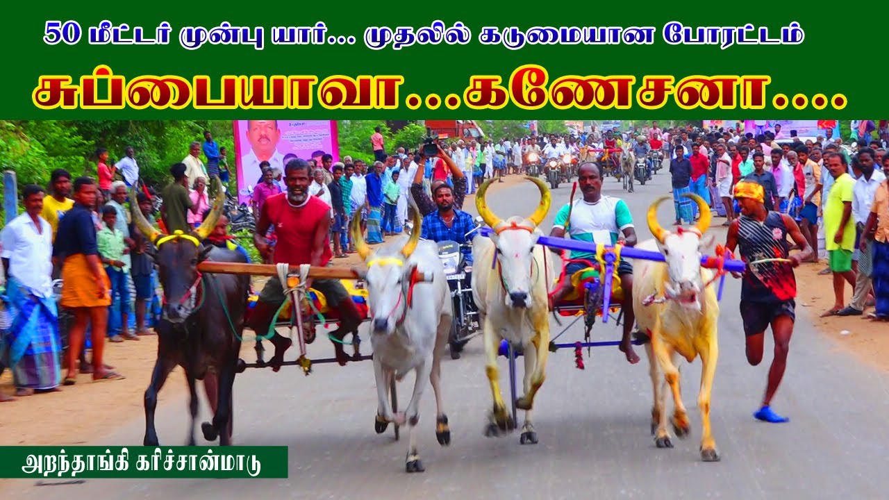 கரிச்சான்மாடு  அறந்தாங்கி மூவேந்தர் மாபெரும் மாட்டுவண்டி பந்தயம் |15-05-2022 | #amuthamstudio