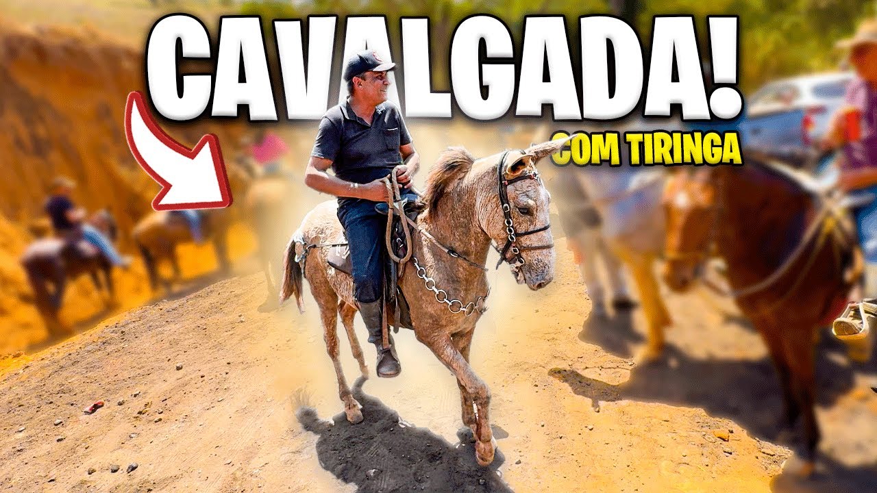 PRIMEIRA CAVALGADA na RUA COM BURRO TIRINGA !
