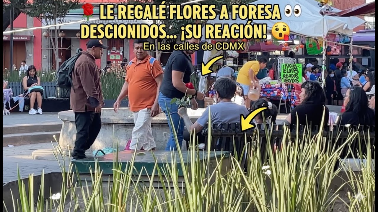 ¿CÓMO reaccionan los HOMBRES cuando les regalan FLORES? 😳 (Experimento Social Inesperado)