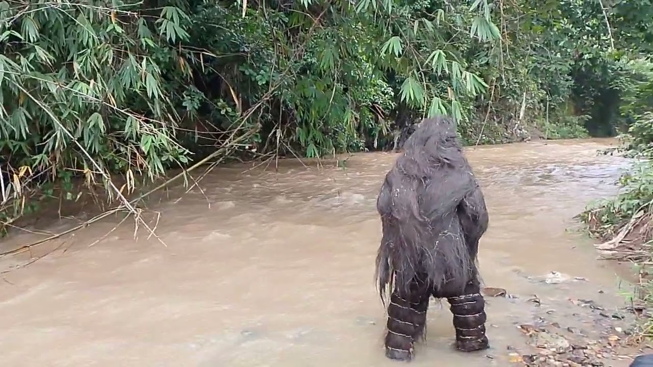 petualang ngitip suku mente nangis kehilangan temannya