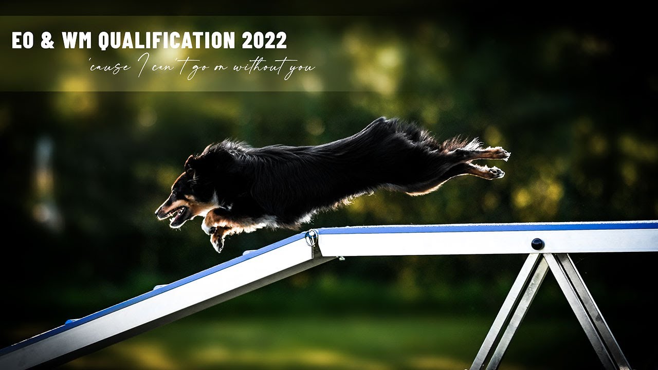 EO & AWC Qualification 2022