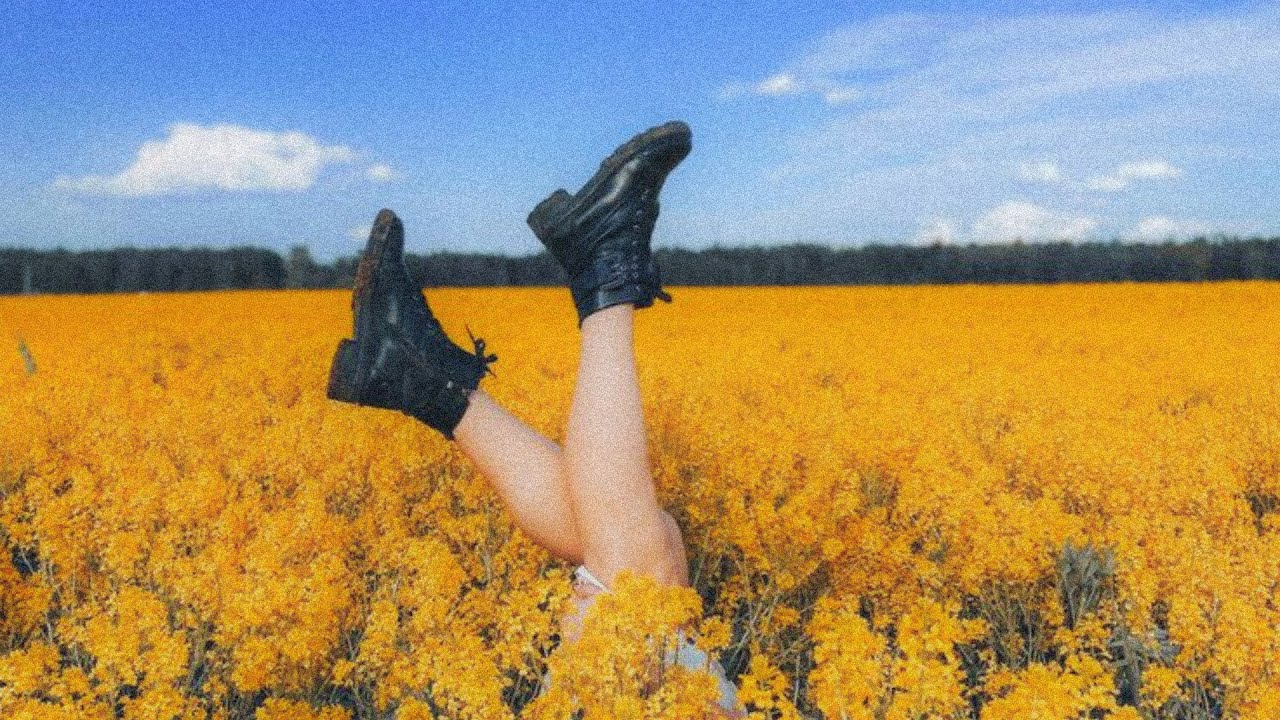 [FREE] Acoustic Guitar Type Beat | Pop Instrumental | "wildflowers"