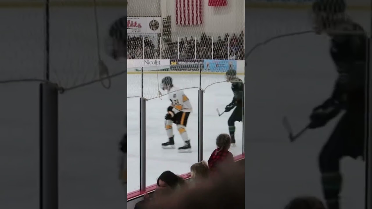 Alpena wildcats vs Traverse city central Trojans. Playoff hockey 2-25-23.