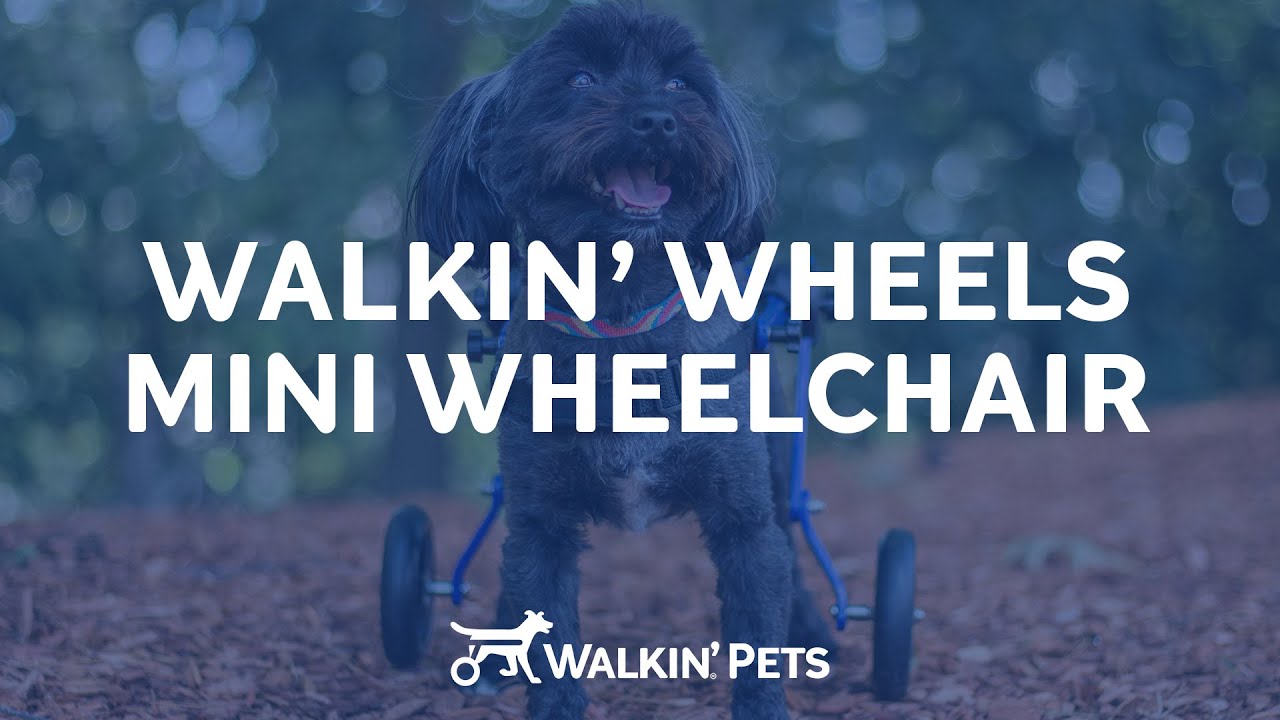 Walkin' Wheels MINI Wheelchair - For Pets Weighing 2-10 Pounds!