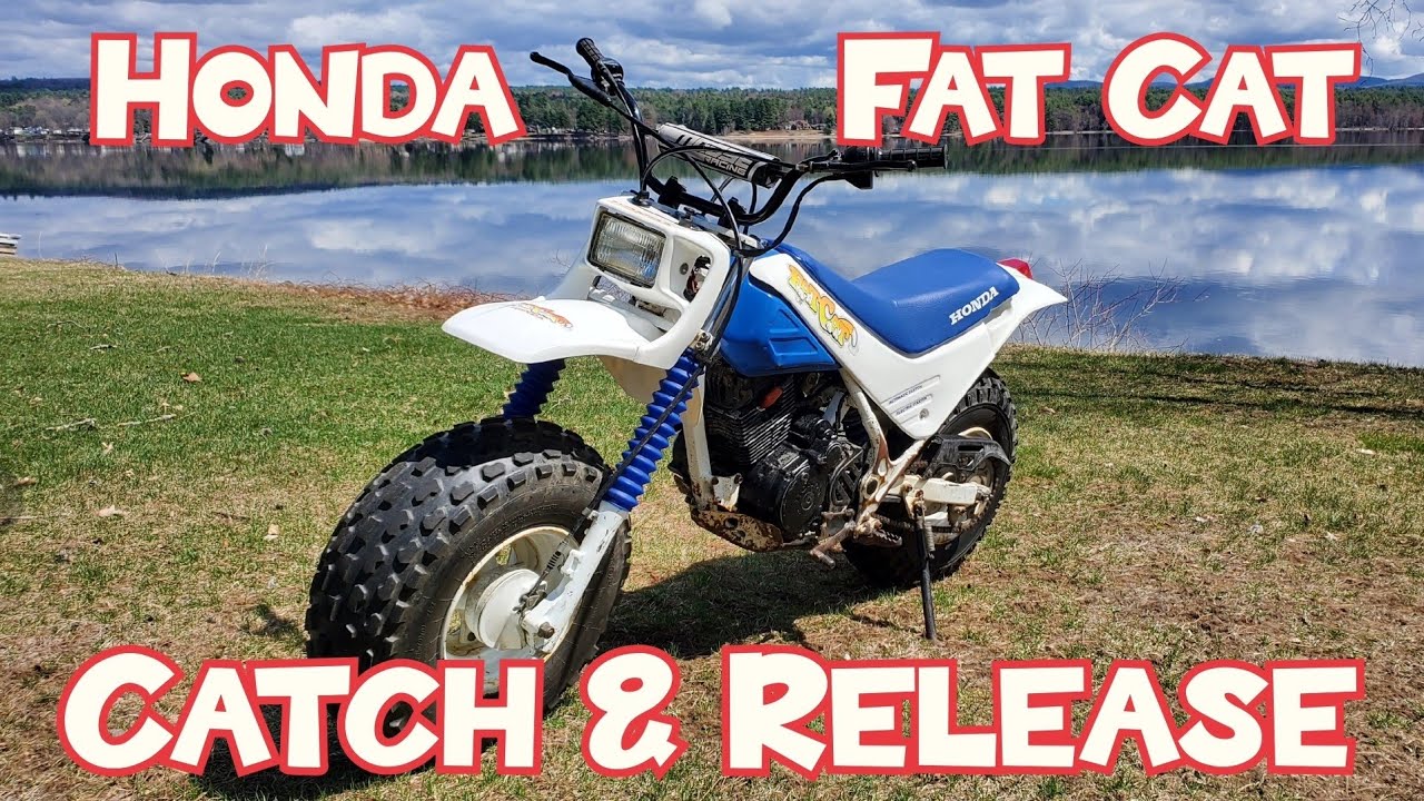 Honda Fat Cat - Catch & Release!  Fix, Swap, Clean, Flip!