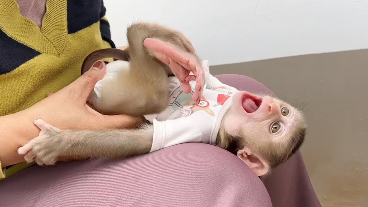 Jelly Happily Flip Back Play On Mom's Lap