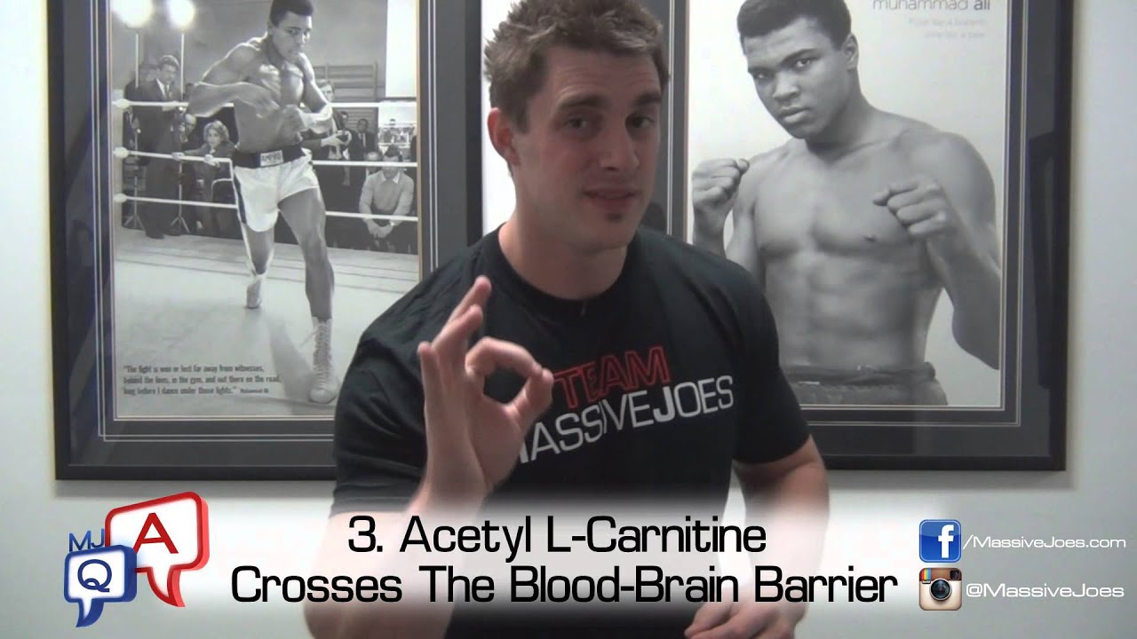 What Is The Difference Between L-Carnitine and Acetyl L-Carnitine? MassiveJoes.com MJ Q&A Carnitine