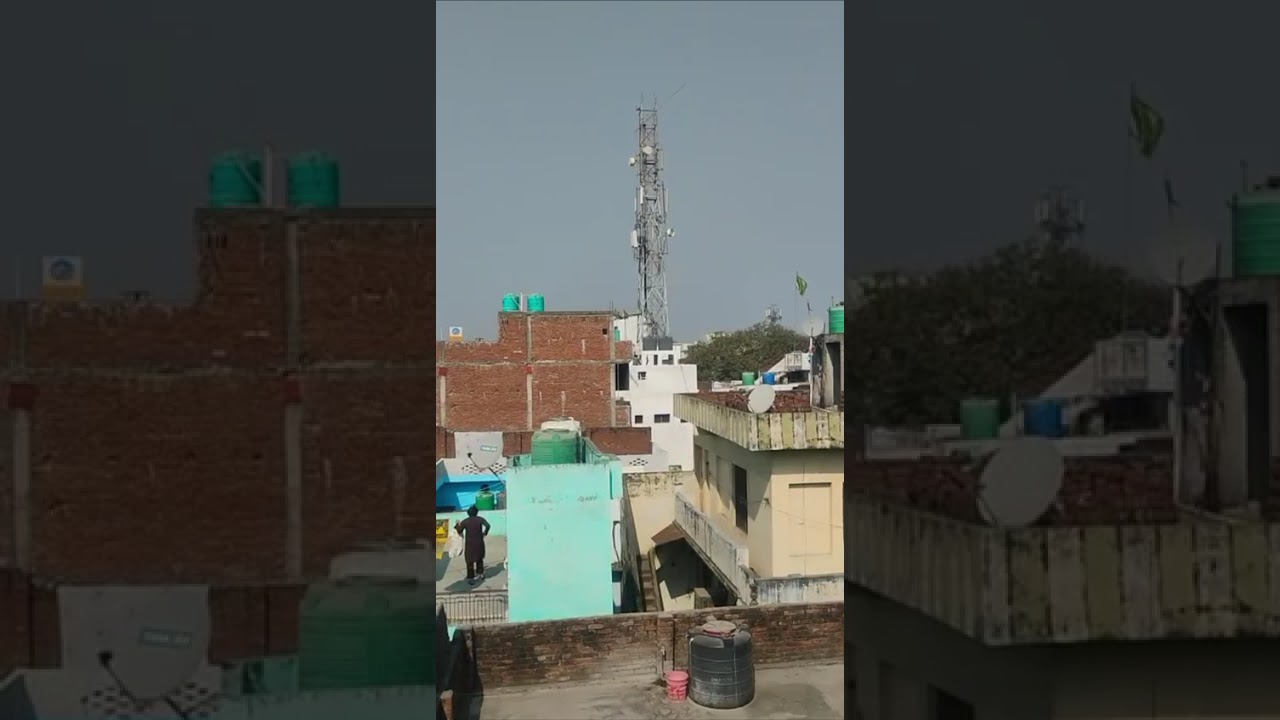 Mujahid bhai ka shok Gayab Kabutar Bareilly lajwaba shok March me 03-03-2026