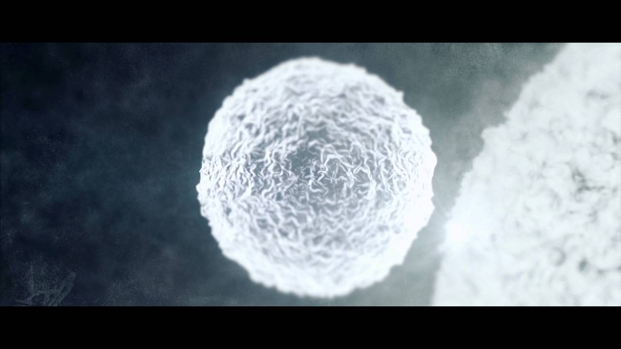 Remnants Of The Fallen - Your Dead Heart (OFFICIAL VIDEO)
