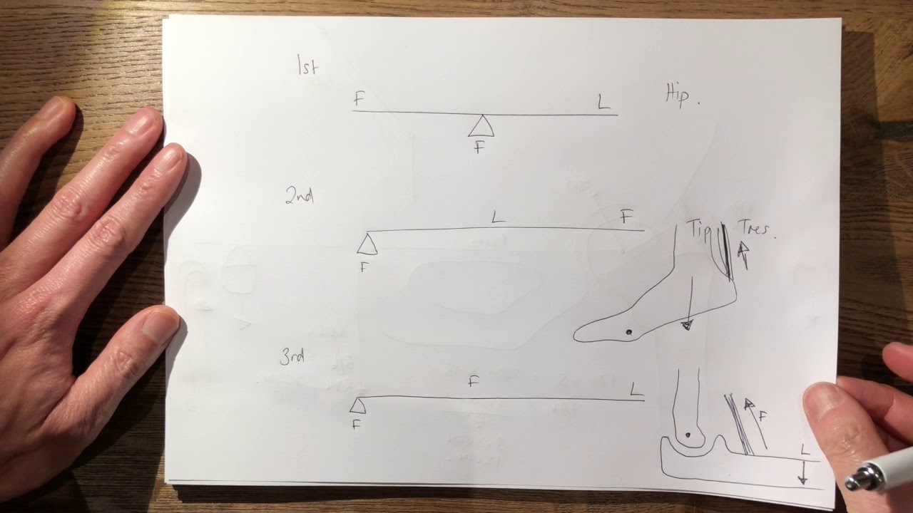 23  Free Body Diagram Principles FRCS Tr&Orth