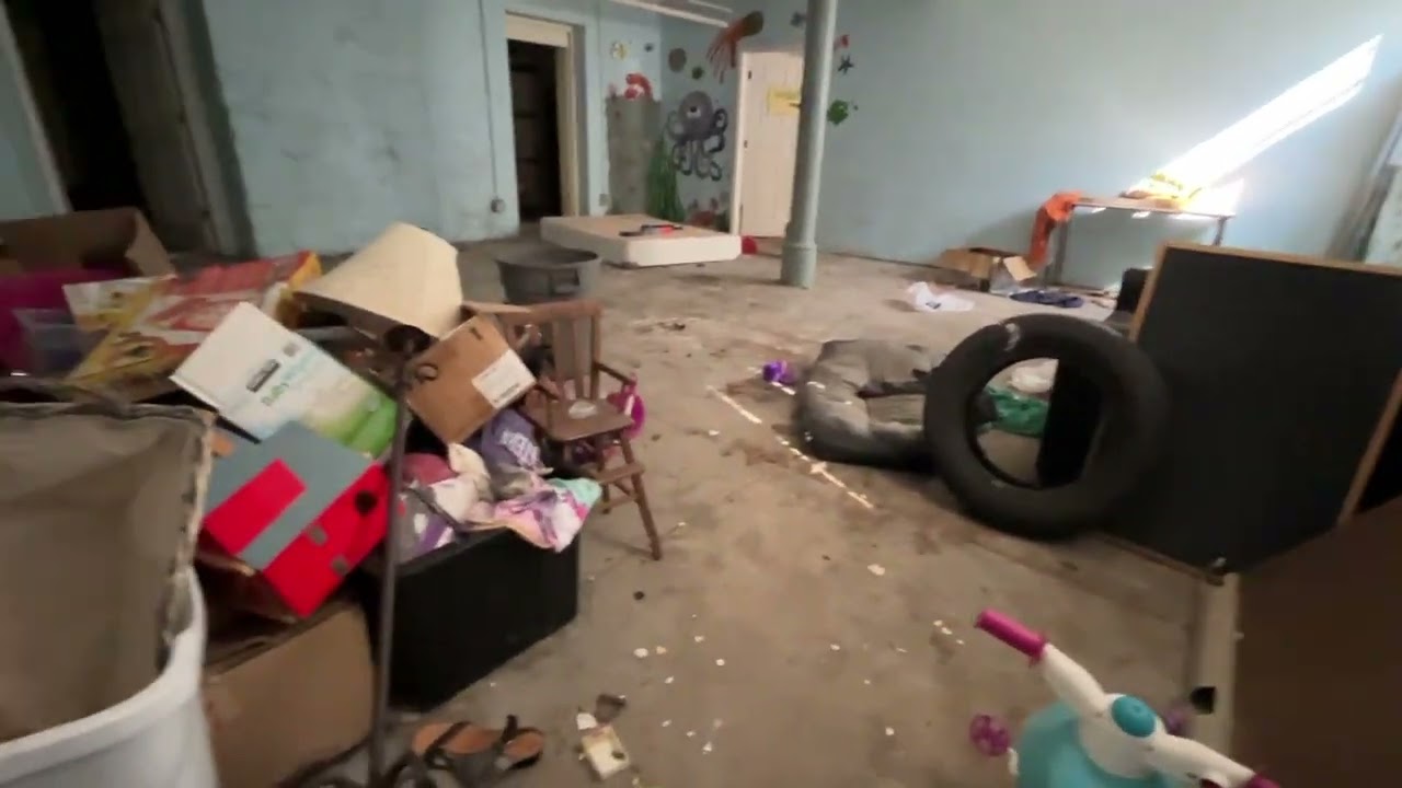 Two pups trapped in abandoned church during gas leak - Stray Rescue of St.Louis
