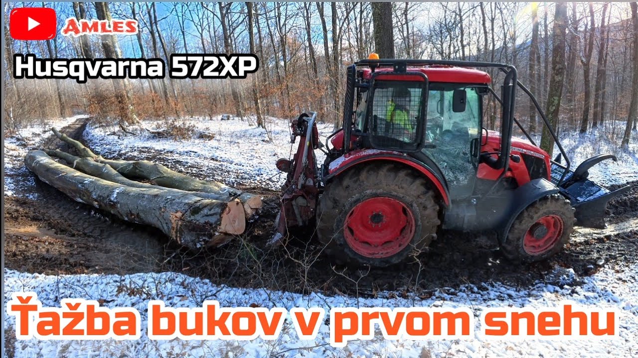 Заготавливаем толстые буковые деревья по первому снегу | Husqvarna 572XP | Лесозаготовки, Амлес