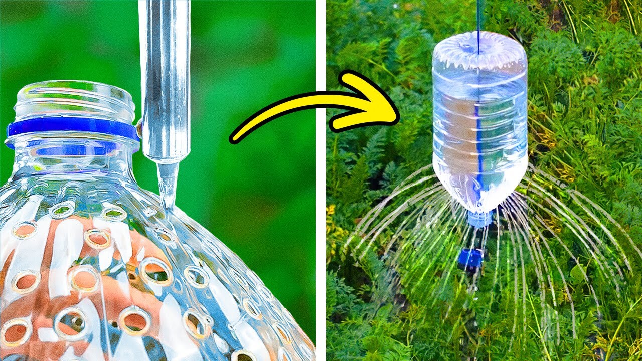 Gardening Hacks 101: Budget-Friendly Garden Transformation Tips and Crafts 🌱