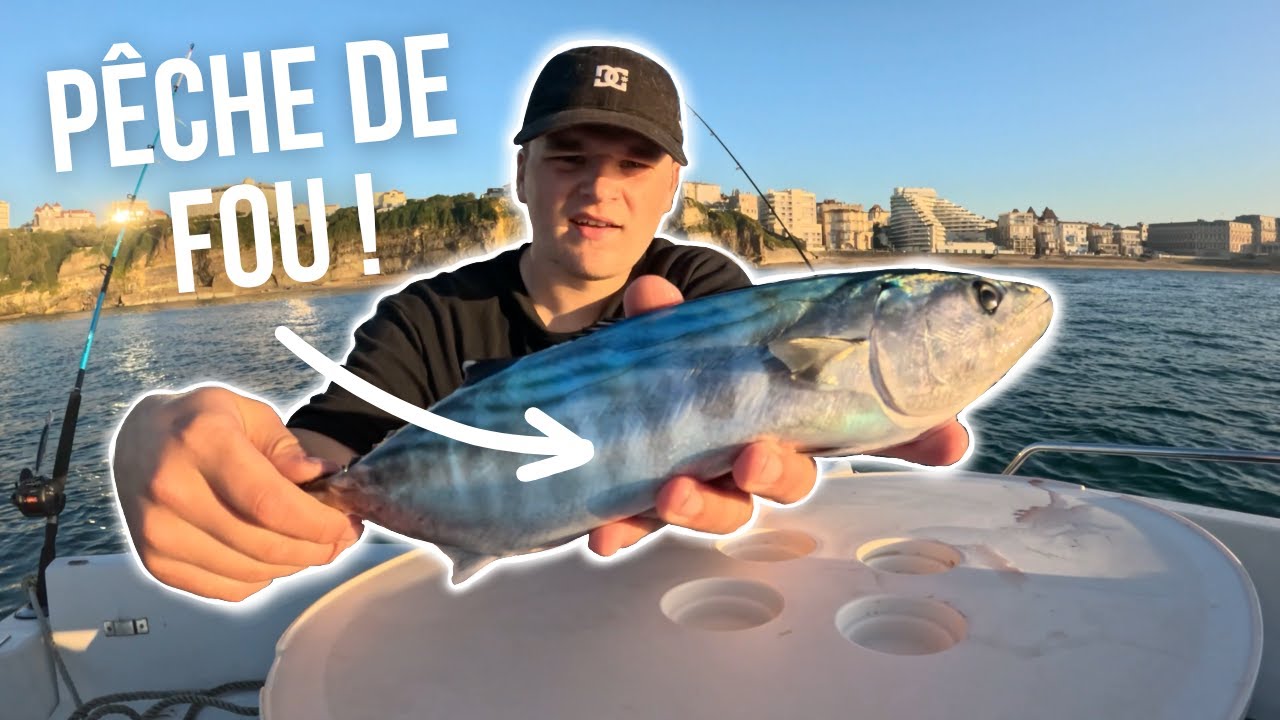 Je Pêche et Cuisine de la BONITE sur Mon BATEAU ! [Catch and Cook]