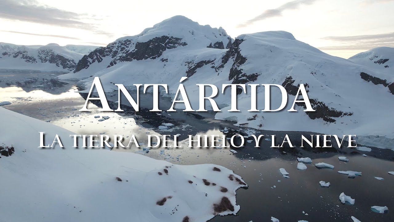 Antártida. La tierra del hielo y la nieve | Documental Completo en Español 4K