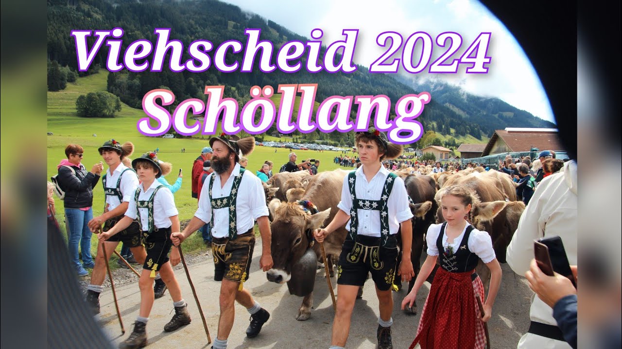 🇩🇪 Viehscheid Schöllang 2024  | Traditional events in the Alps Allgäu #meinwanderlust