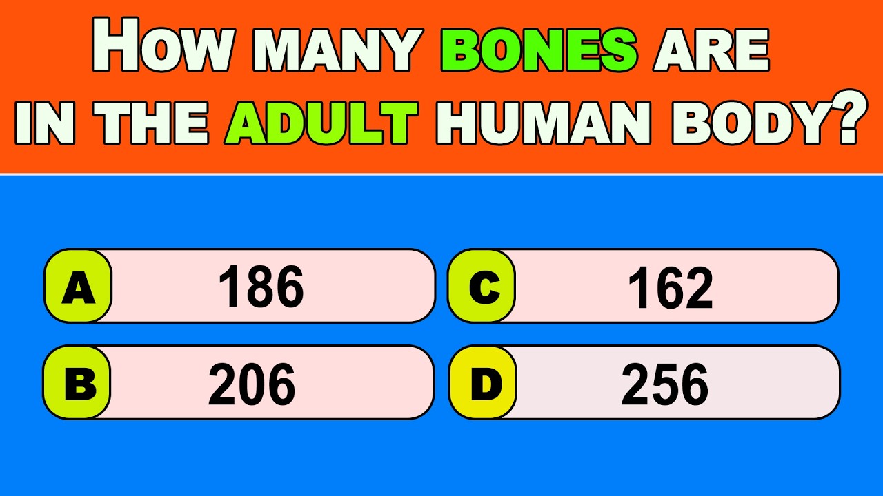 Only 1% Can Score 50/50 On This Ultimate Human Body & General Knowledge Challenge!