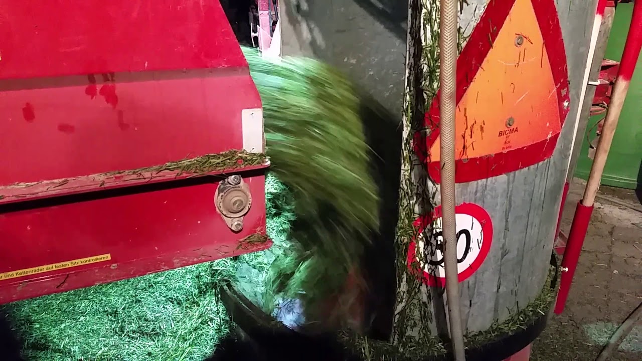 Gras silieren: Steyr 6160 mit Strebel H&auml;ckselwagen und Strebel Gebl&auml;se