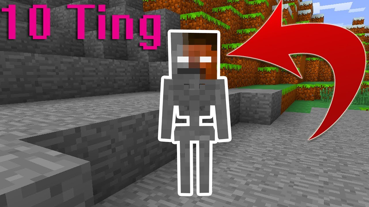 10 Ting Du Ikke Vidste Om SKELETONS I Minecraft!?