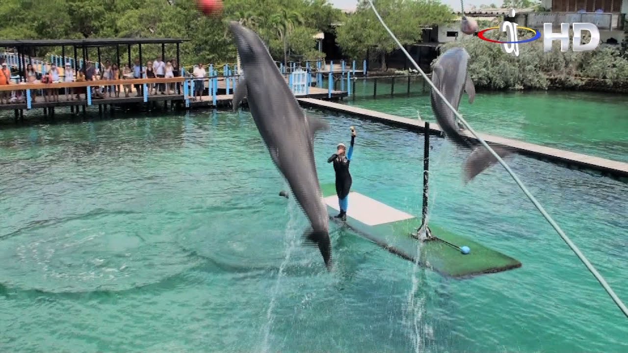 Islas del Rosario Cartagena, un viaje inolvidable
