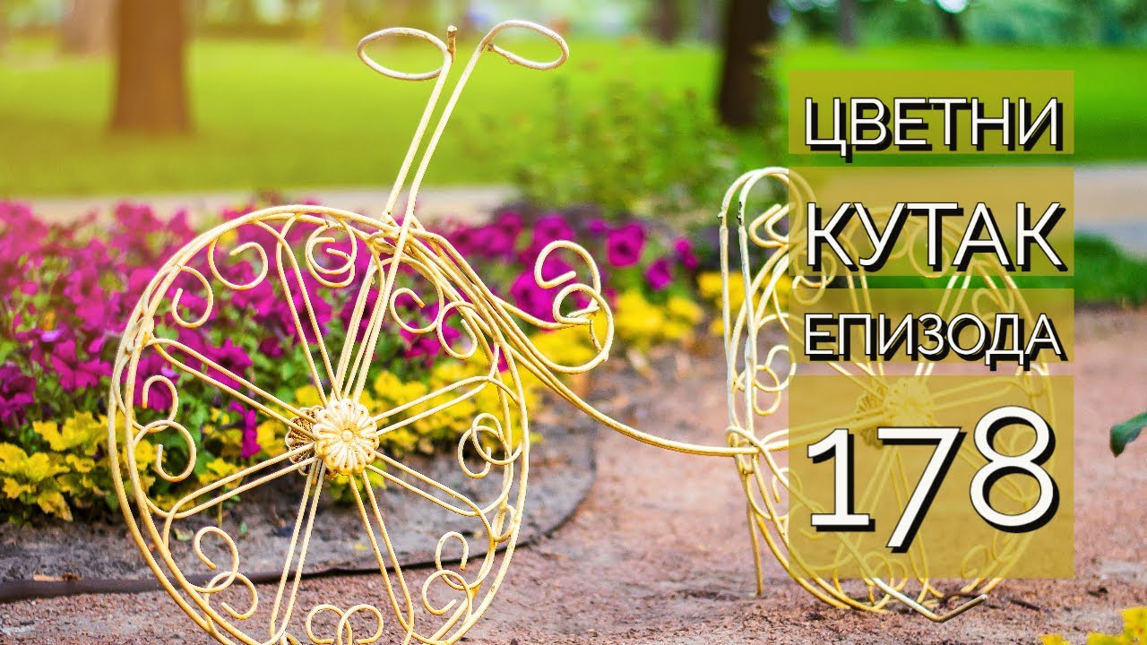 Cvetni kutak ep. 178 06.04.2023. Žardinjere, jagodnjak, Dom za stara lica Bežanijska kosa, Kraljevac