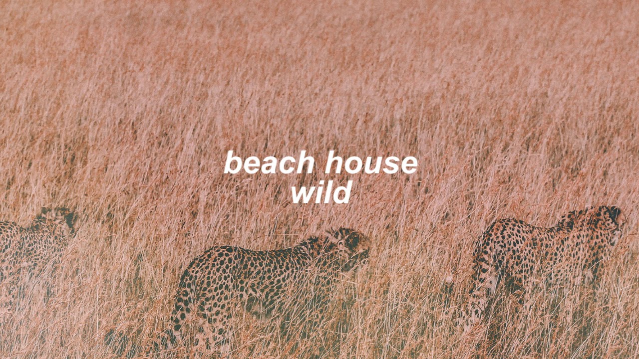 beach house - wild (slowed + reverb)