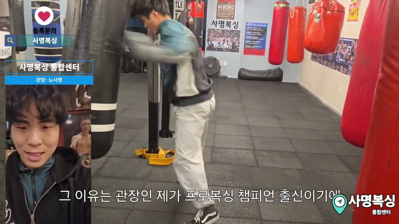 펀치 파워 키우는 훈련법과 키우는 이유. 사명복싱 시즌 3. 강의 6  #boxing 