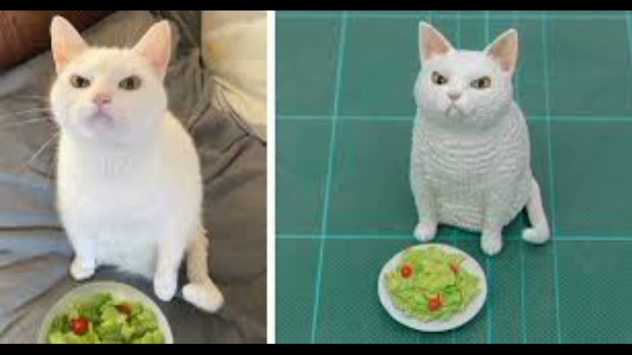 Japanese  Artis turns hilarious animal momento into sculptures 👉@toofti