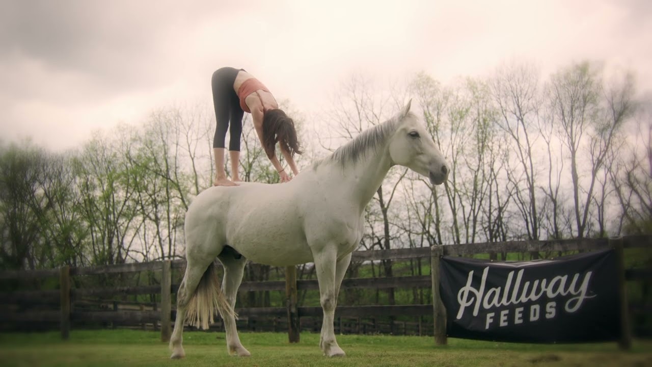 Horse Yoga Retreat by Hallway Feeds - Lexington, Kentucky