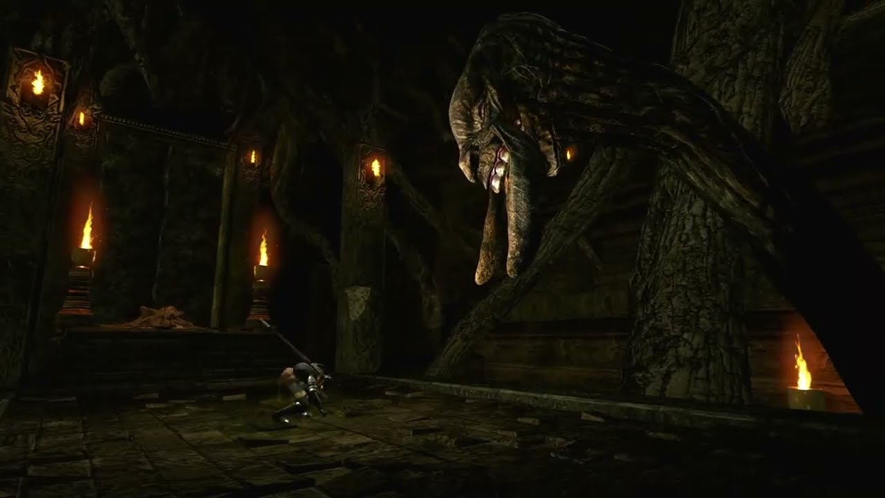 Dark souls NDR part 3 meeting Darkstalker Kaathe and the true story of Dark Souls