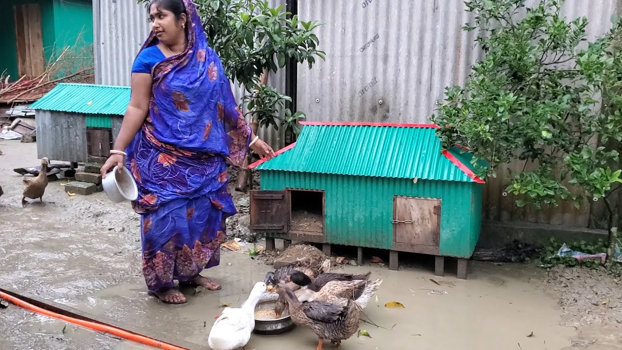 আজ এত বৃষ্টিতে এত বড় ধোকা যে খাবো ভাবতেই পারি নাই/ bangladeshi village rainy day, our village life