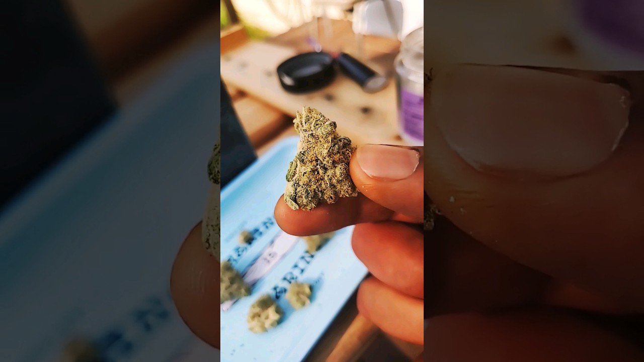 GONE SWISHIN By REVOLUTION!+PUFFCO VISION GIVE AWAY. The full review is up on now.