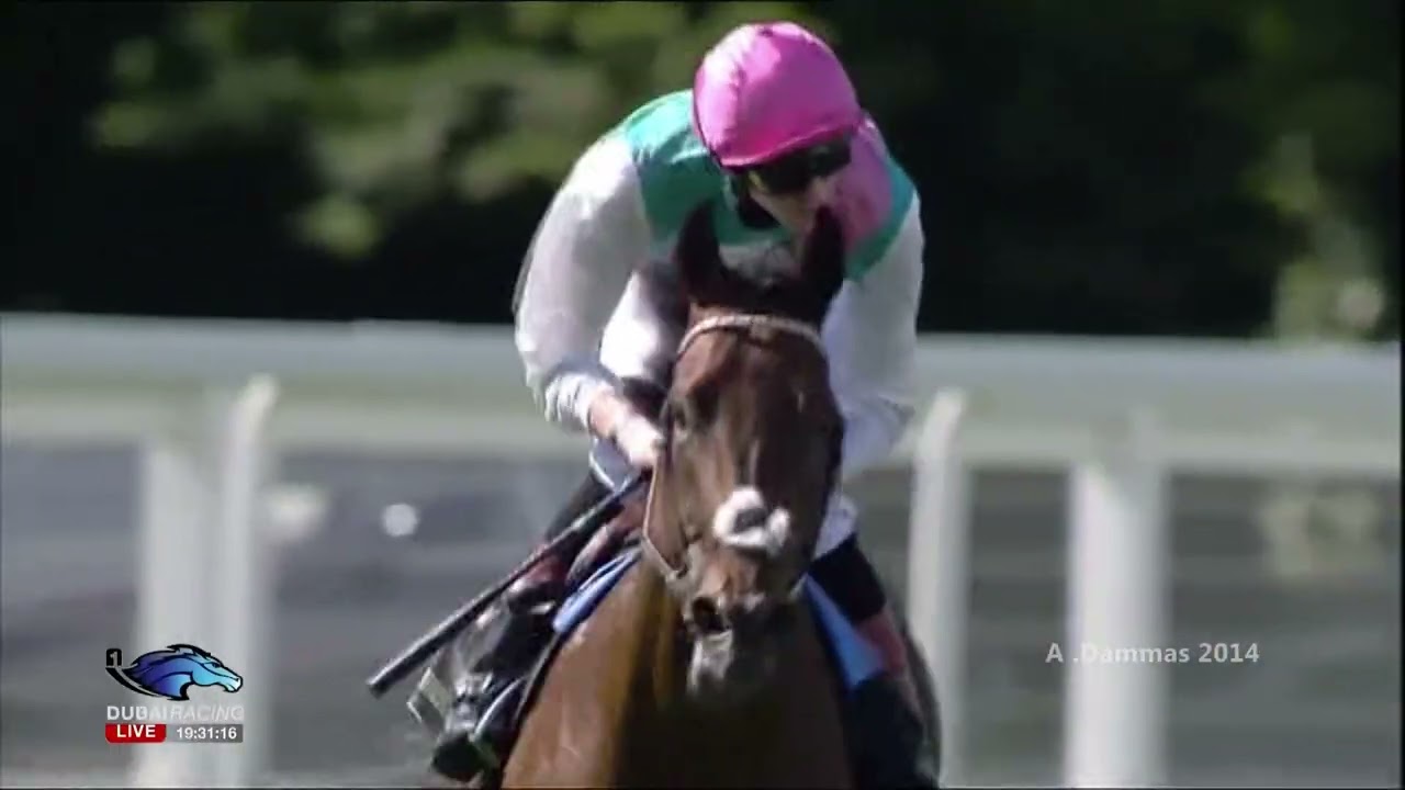 Kingman- St James's Palace Stakes G1- Royal Ascot 2014