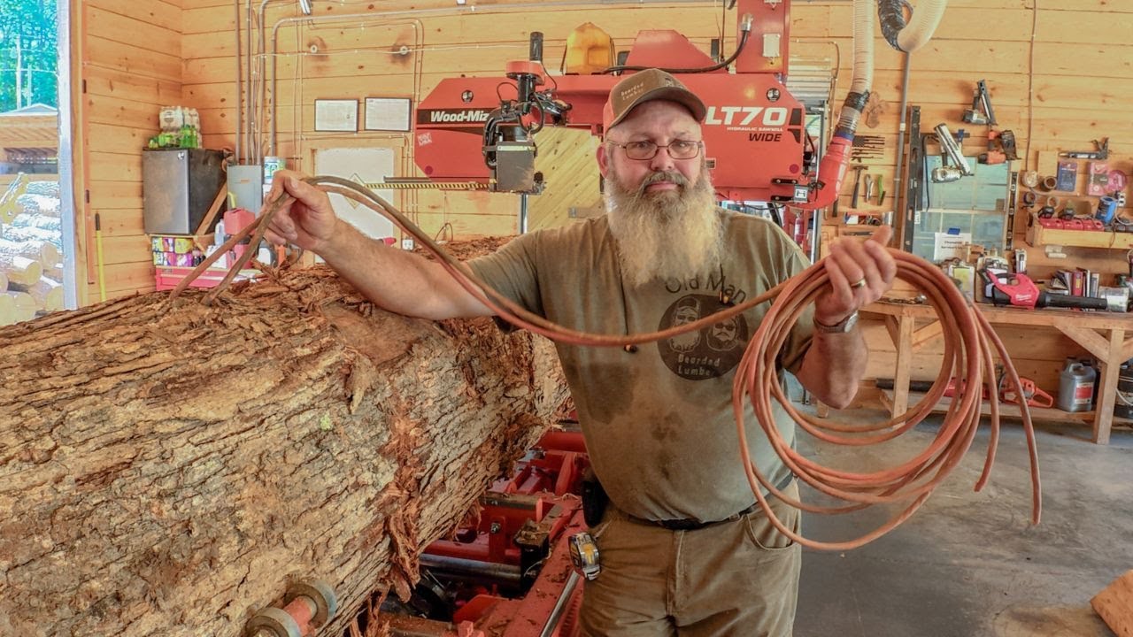 You never know what you'll find in a log!
