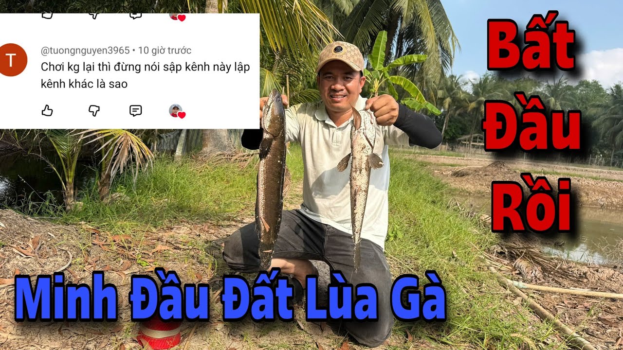Đã Chuẩn Bị Rồi ,Đến Rồi Văn Tho Nói Không Sai