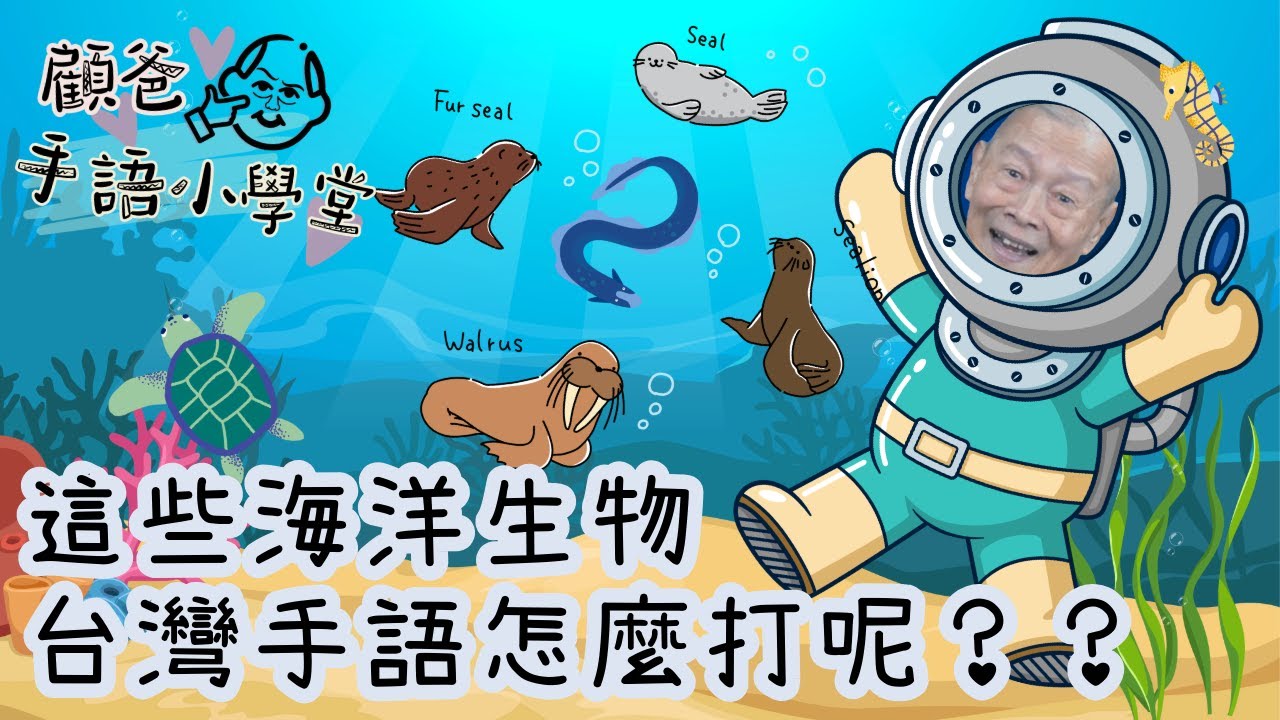 這些海洋生物台灣手語怎麼打呢_顧爸手語小學堂