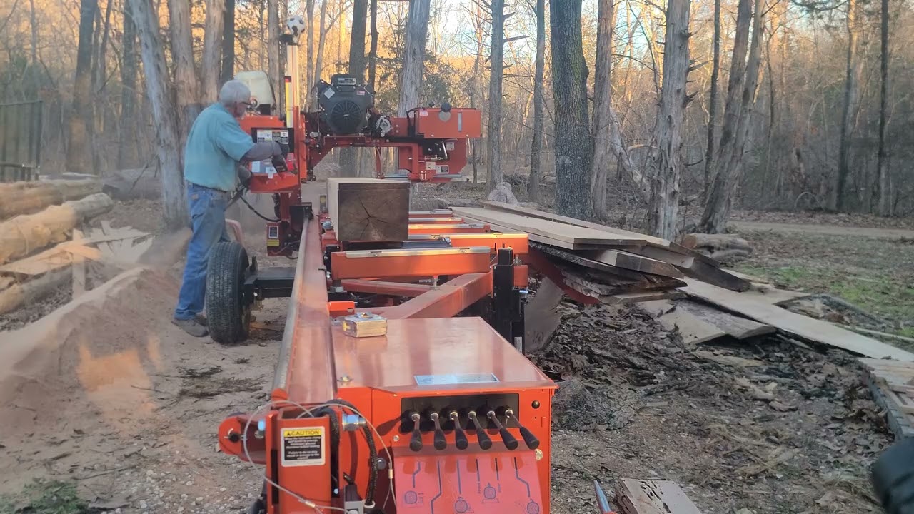 Hickory on LT35
