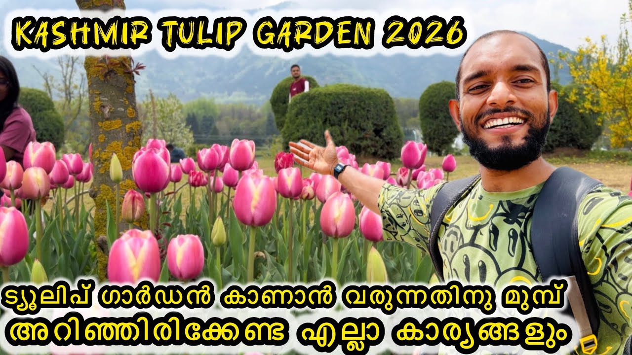 Tulip garden kashmir | tulip garden Srinagar | tulip garden Kashmir opening dates | tulip garden2026