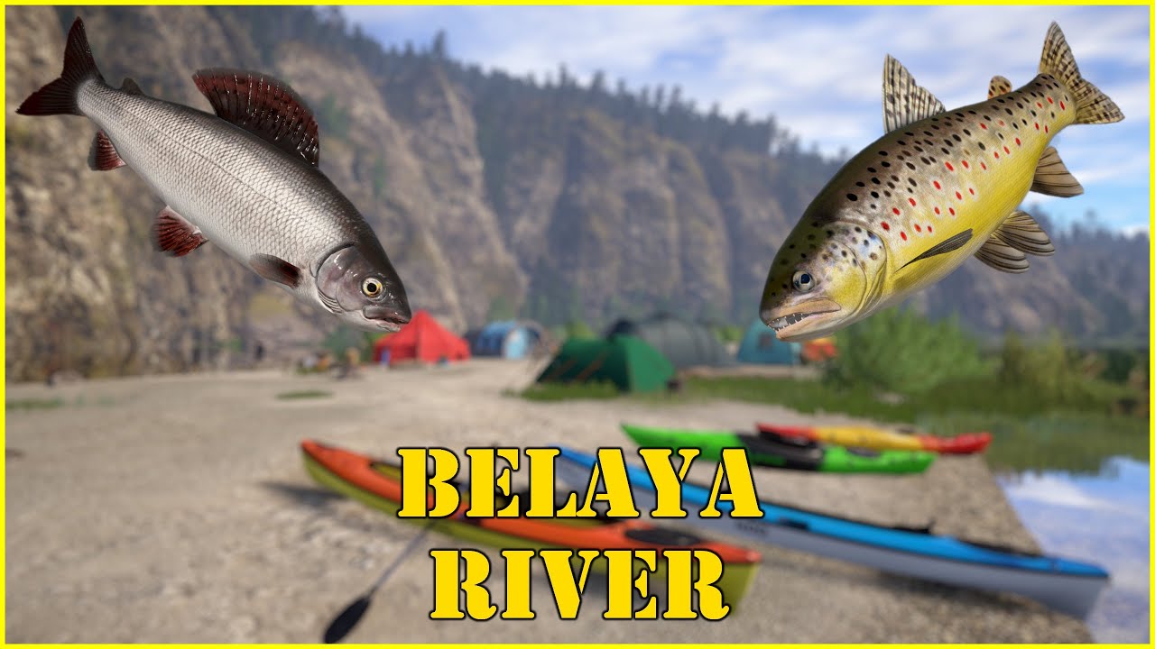 Belaya River #95 Russian Fishing 4 #mjplay