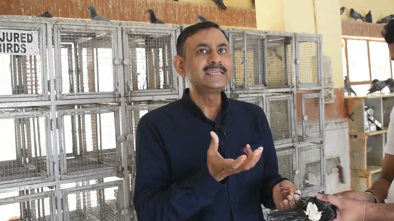 पक्षी की टांग टूट जाने पर ऐसे Treatment करे || Birds Treatment Video || Dr Nagender Yadav